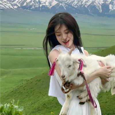 恐龙之子